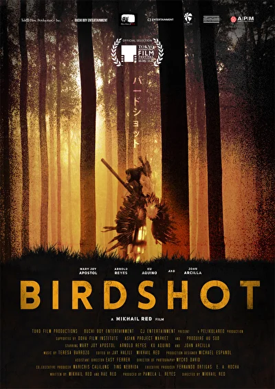 Постер к фильму Дробь (2017)