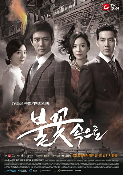 Постер к дораме В пламени (2011)